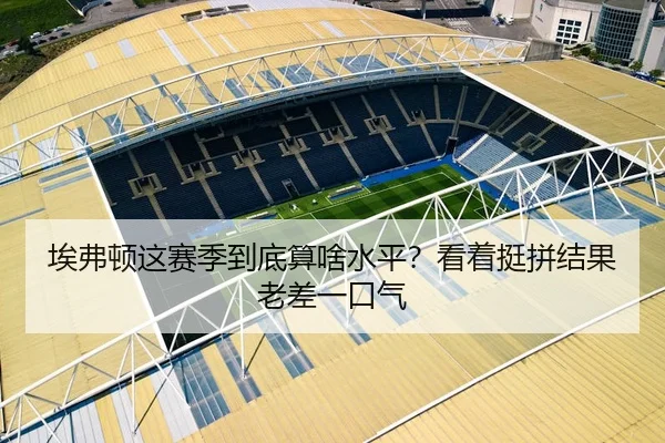 埃弗顿这赛季到底算啥水平？看着挺拼结果老差一口气